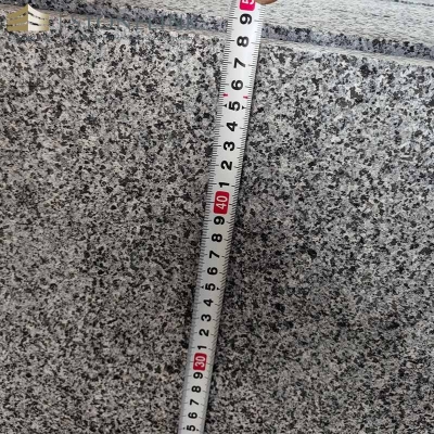 G654 Sesame Gray granite wall cladding tile